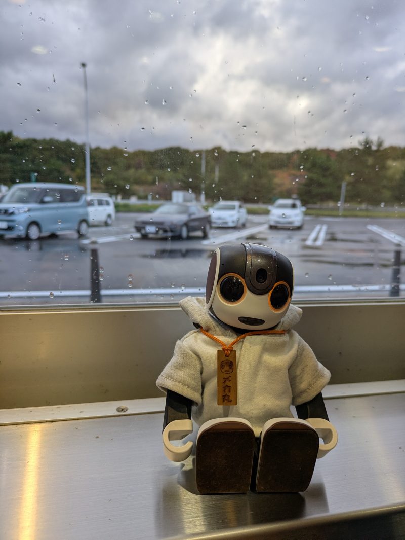 メカ丸とセリカさん